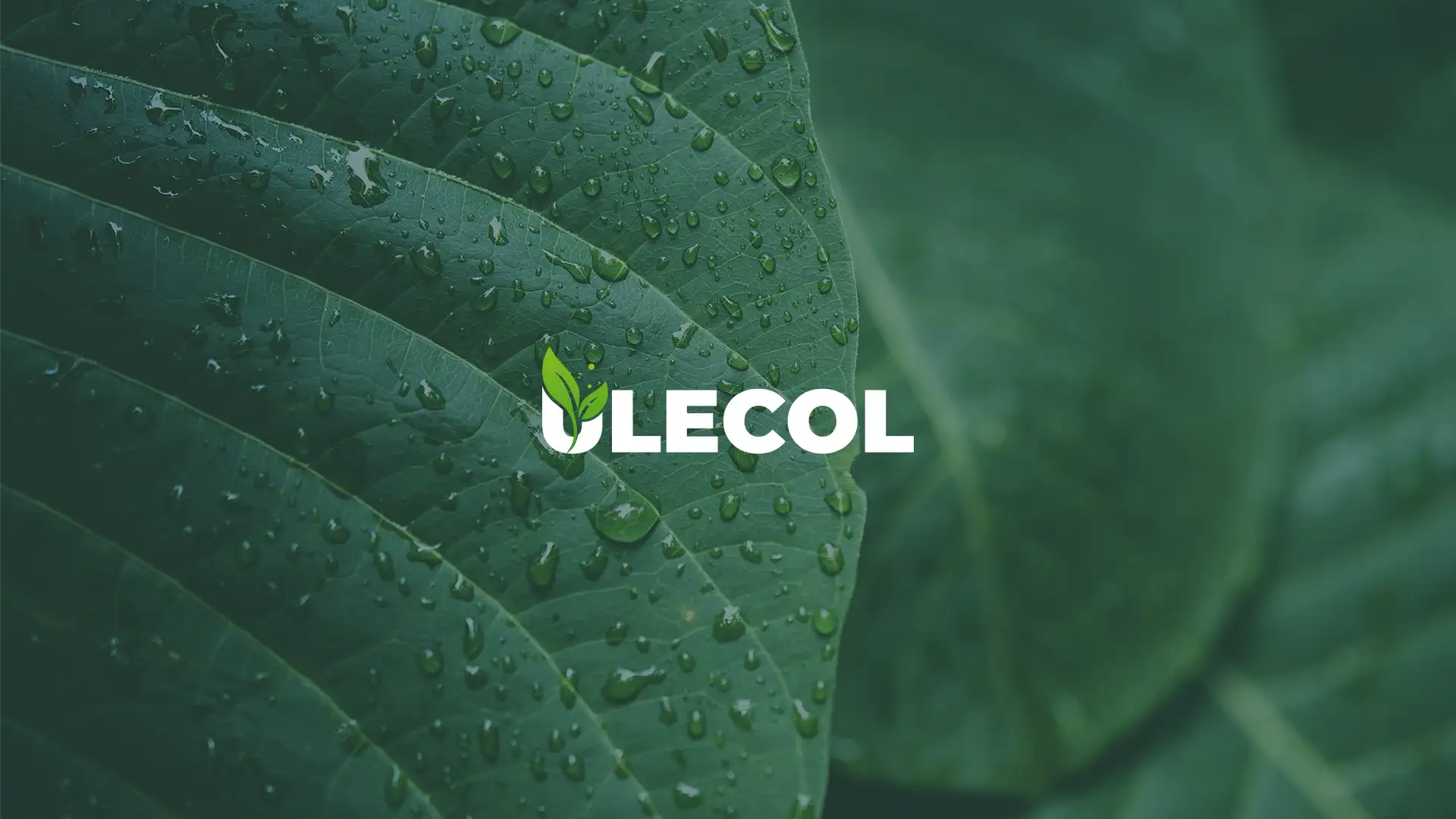 ulecol